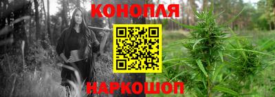 индика Заводоуковск