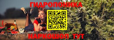 индика Заводоуковск