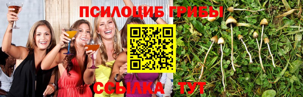 Псилоцибиновые грибы Magic Shrooms Лангепас